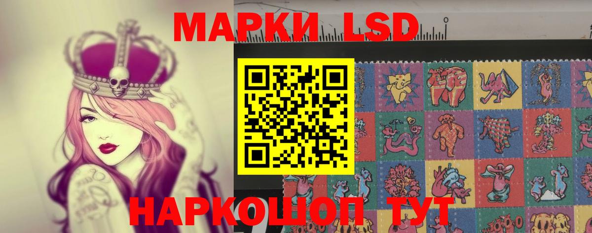 Альфа ПВП Выборг