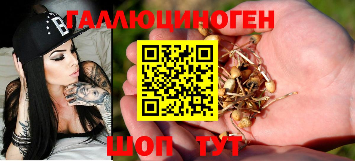 Выборг  Псилоцибиновые грибы Cubensis  Вход с VPN  Галлюциногенные грибы Psilocybine cubensis 