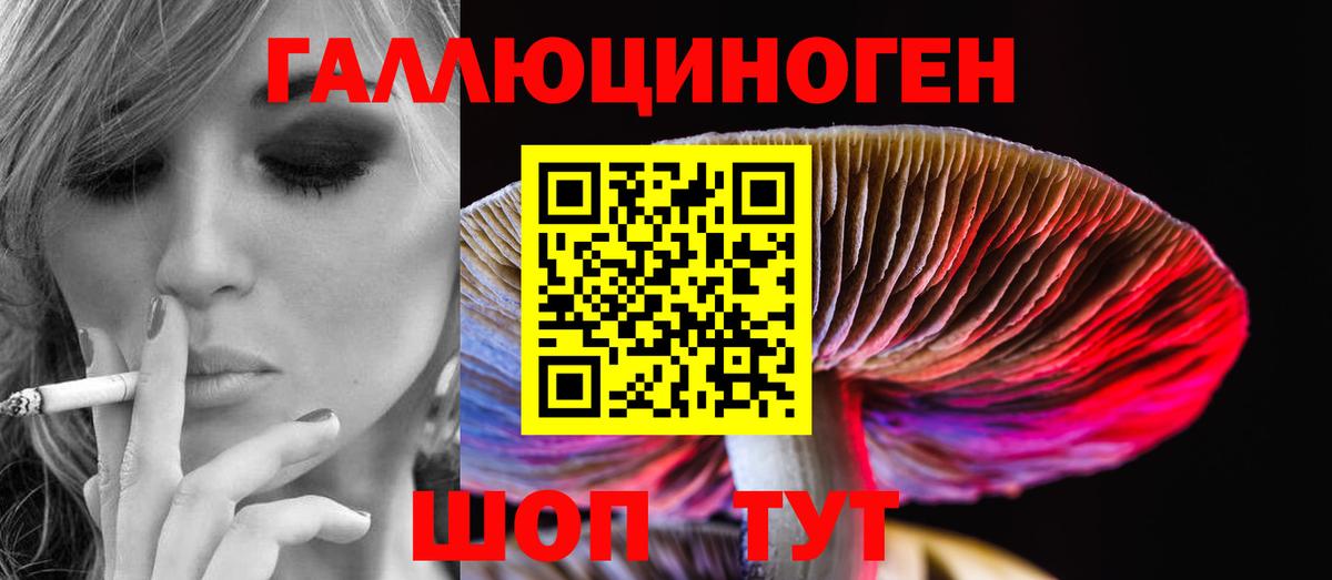 Псилоцибиновые грибы ЛСД Выборг